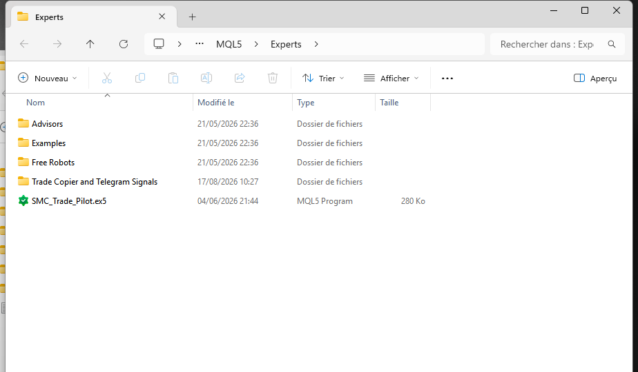 Le fichier .ex5 du robot collé dans le dossier MQL5 Experts de MetaTrader 5, type MQL5 Program