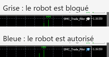 Comparaison des deux états de l'icône d'un expert advisor MT5 : grise le robot est bloqué, bleue le robot est autorisé